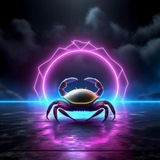 Telegram profile photo for Все каналы CrabTime