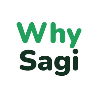 Telegram profile photo for Why Sagi