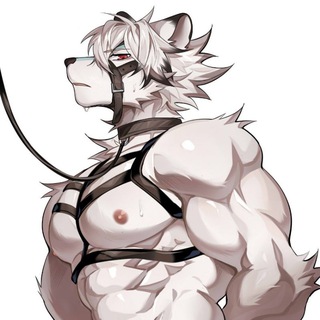 Telegram profile photo for Gay furry yiff | Гей фурри йифф