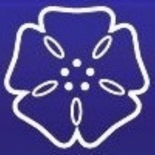 Telegram profile photo for Богородское Общество | Москва. Районы