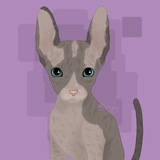 Telegram profile photo for 𝐿𝑖𝑡𝑡𝑙𝑒 | 𝑃ℎ𝑎𝑟𝑎𝑜ℎ