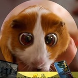 Telegram profile photo for щітпоzт розі 🇷🇺💀
