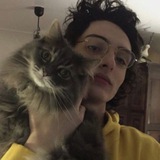 Telegram profile photo for Manifest.