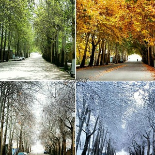 Telegram profile photo for درود توریسم