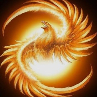 Telegram profile photo for 🐦🔥 ФЕНИКС 🐦🔥