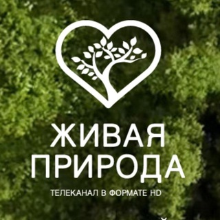 Telegram profile photo for Телеканал «Живая природа»