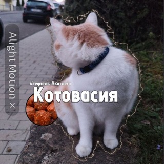 Telegram profile photo for Котовасия#тефтель