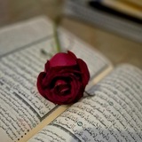 Telegram profile photo for "وإنَّه لِكَتَابٌ عَزِيز "