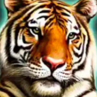 Telegram profile photo for Тигран