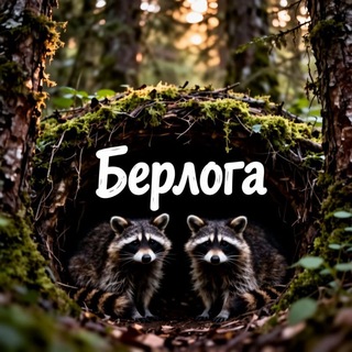 Telegram profile photo for Берлога Енотов
