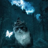 Telegram profile photo for Переходник