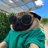 Telegram profile photo for poTTer page
