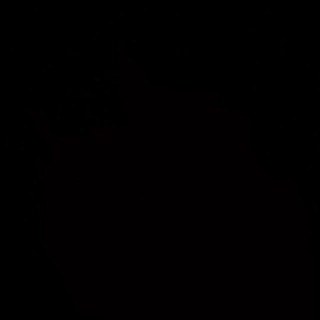 Telegram profile photo for فِي العشرِينَ .