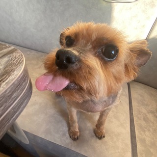 Telegram profile photo for архив неудачи моих поражений