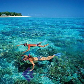 Telegram profile photo for Double Bay Travel Group
