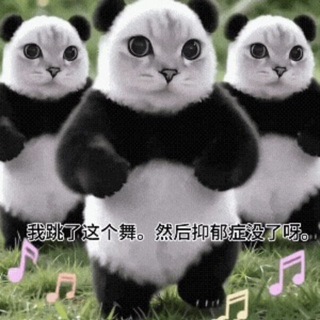 Telegram profile photo for 熊喵喵通知频道