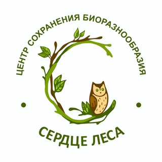 Telegram profile photo for Сердце Леса - помощь диким животным🌿