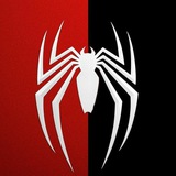 Telegram profile photo for SPIDER PREDICTIONS ๐ธ๏ธ