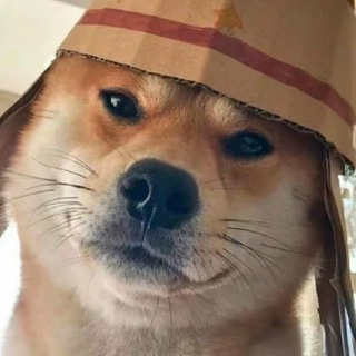 Telegram profile photo for 逃生主频道(公益)