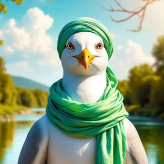 Telegram profile photo for БЕРЕГА