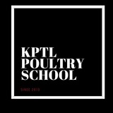 Telegram profile photo for KPTL POULTRY SCHOOL🐔🐤🐣