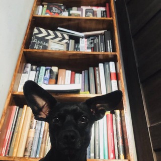 Telegram profile photo for Граушкина и книжный шкаф