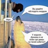 Telegram profile photo for Эпилимнион 🌊🐸