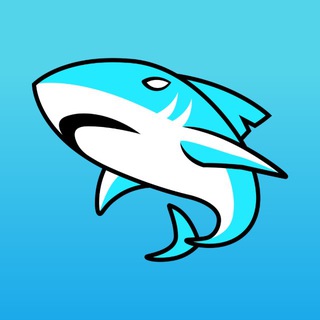 Telegram profile photo for Baby Shark π¬ π¬π¬