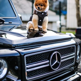 Telegram profile photo for Авто с пробегом