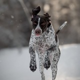 Telegram profile photo for Эри и Рита ( заметки )