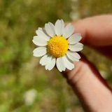 Telegram profile photo for گلچین تک بیتی و دوبیتی