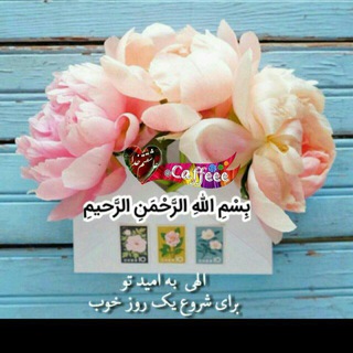Telegram profile photo for نمایندگی فرش وموکت بهمن محمدی کلی و جزئی پخش درشمال استان گیلان