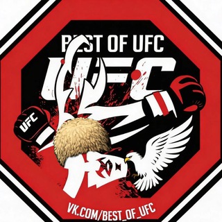 Telegram profile photo for BEST OF UFC
