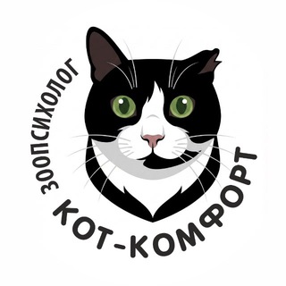 Telegram profile photo for Зоопсихолог | Кот-Комфорт🐾