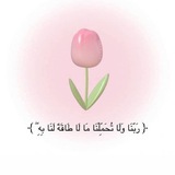 Telegram profile photo for شافعتي🌷