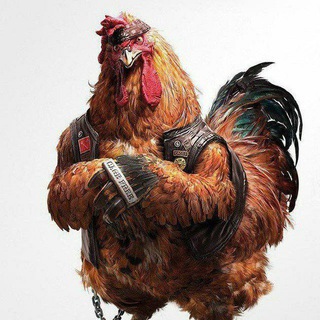 Telegram profile photo for 🐓Бройлерная // Москва // Ярославль // Иваново