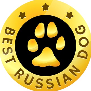 Telegram profile photo for BEST RUSSIAN DOG ЛУЧШИЕ СОБАКИ РОССИИ