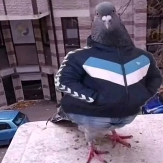Telegram profile photo for Роман Руда