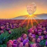 Telegram profile photo for Q- Anons of New Mexico 🐸👑 and woke tribes of the world.. #WWG1WGAWW