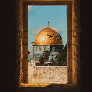 Telegram profile photo for دليل زيادة اللستة الليبيـة العـظمى 𖤐.