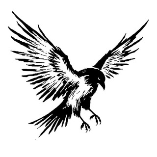 Telegram profile photo for whereamg