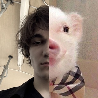Telegram profile photo for computer brain