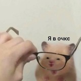 Telegram profile photo for Cut/3