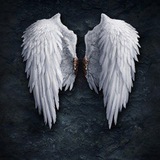 Telegram profile photo for Lucifer's Trading FX