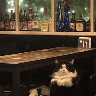 Telegram profile photo for Это мой гриб. Я его ем.