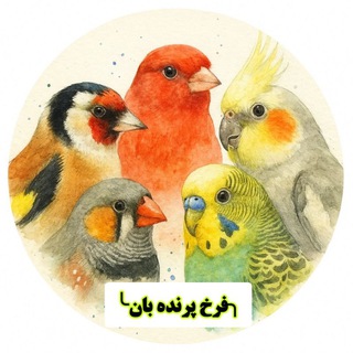 Telegram group profile photo for پرنده بان