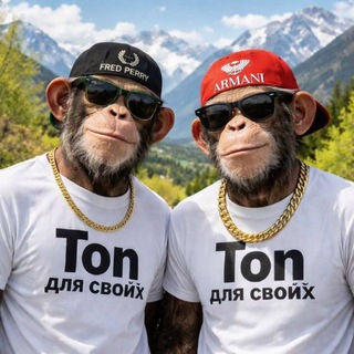 Telegram profile photo for Ton для своих