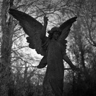 Telegram profile photo for Переходник в Angels