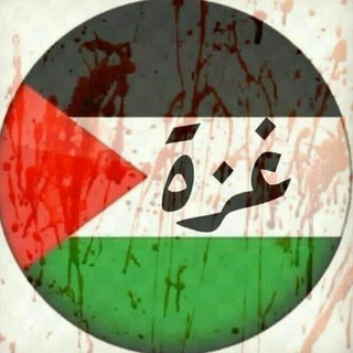 Telegram profile photo for Palestine news 24