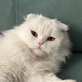 Telegram profile photo for Юки с любовью :з